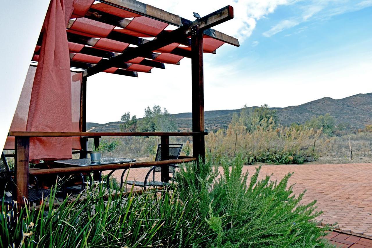 Vides Del Rio Suites Valle de Guadalupe Buitenkant foto